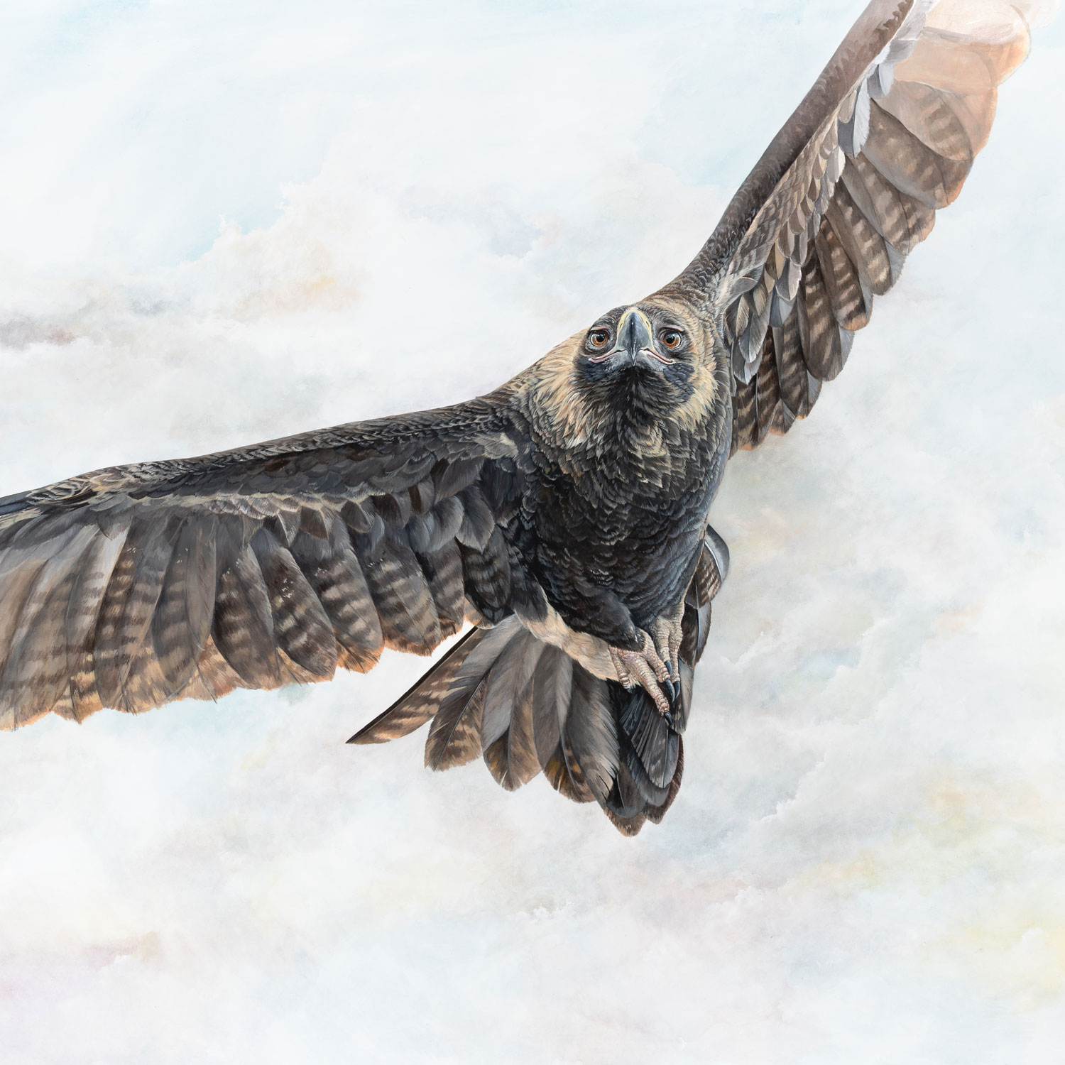 WEB-SQUARE-CROP-2025_artwork-(adjusted)_01-(full-size)