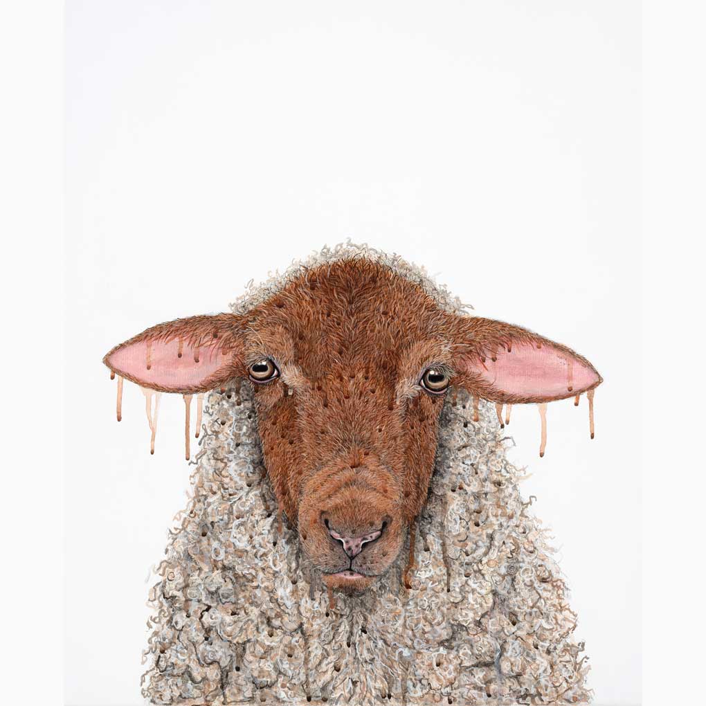 A sheep with a brown face against a white background.