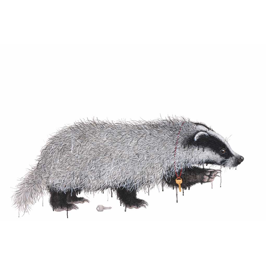 A drawing of a badger with it's front paw raised against a white background. Around it's neck it s gold key on a red string. There is a silver key on the ground.