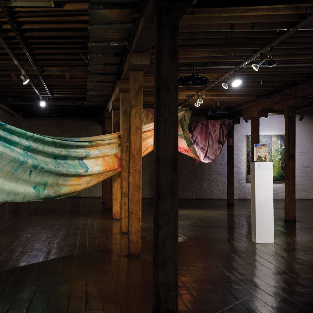 An image of a large gallery space with wooden floors and wooden poles throughout. We can see a large, multi coloured fabric artwork hanging from the ceiling by Matt Arbuckle. A work by Kate Tucker on a white plinth in the distance and a large painting by Grant Nimmo on the far wall of a rainforest.