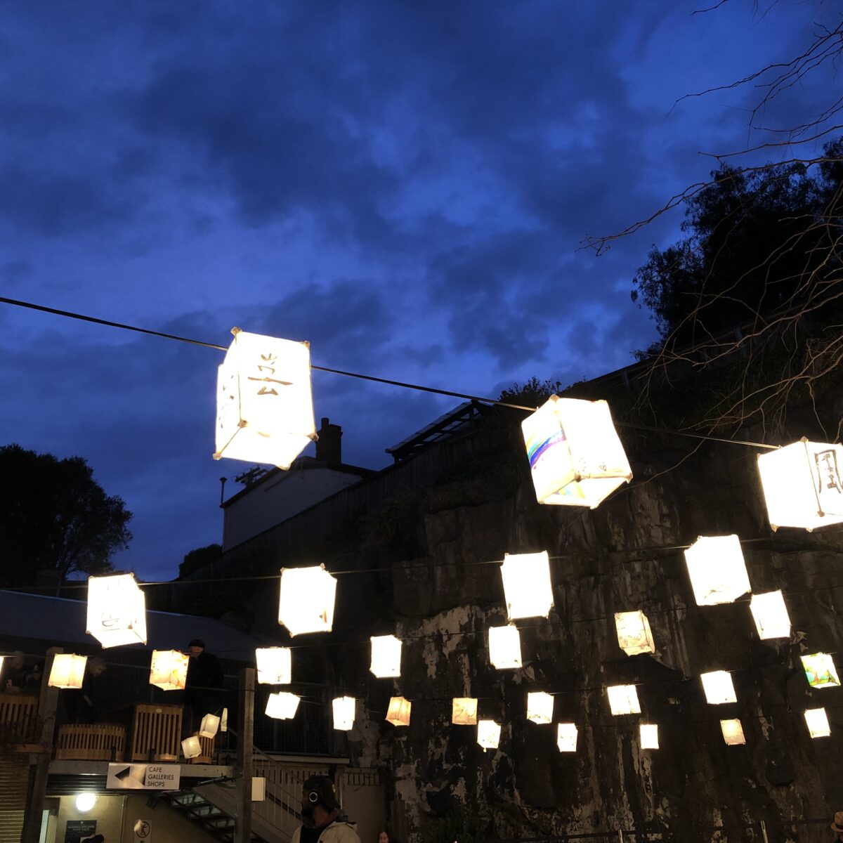 Beautiful paper lanterns are hung in The outside Courtyard. There is a dark blue moody sky behind them.