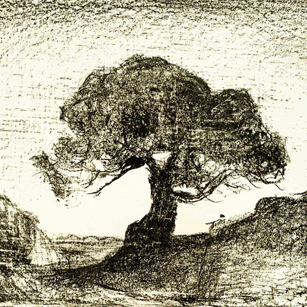 Lloyd Rees. Veteran Tree, Bruny Island. Llithograph