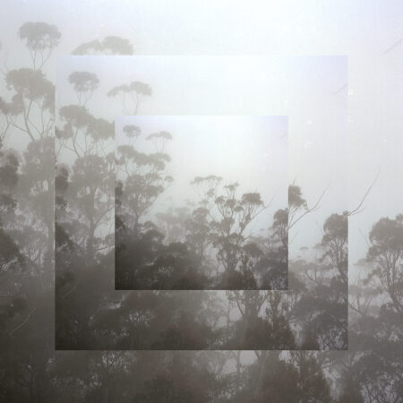 A muted tone image of trees with square concentric shapes moving inward.