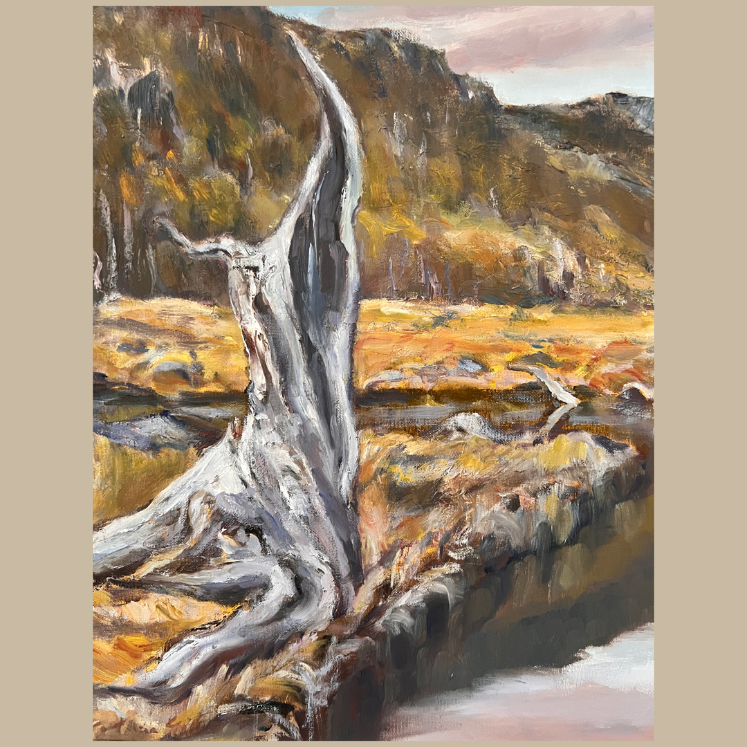 Patricia Giles. Ancient Pencil Pine (detail) (2012). Oil on Canvas. 57 x 69 cm.
