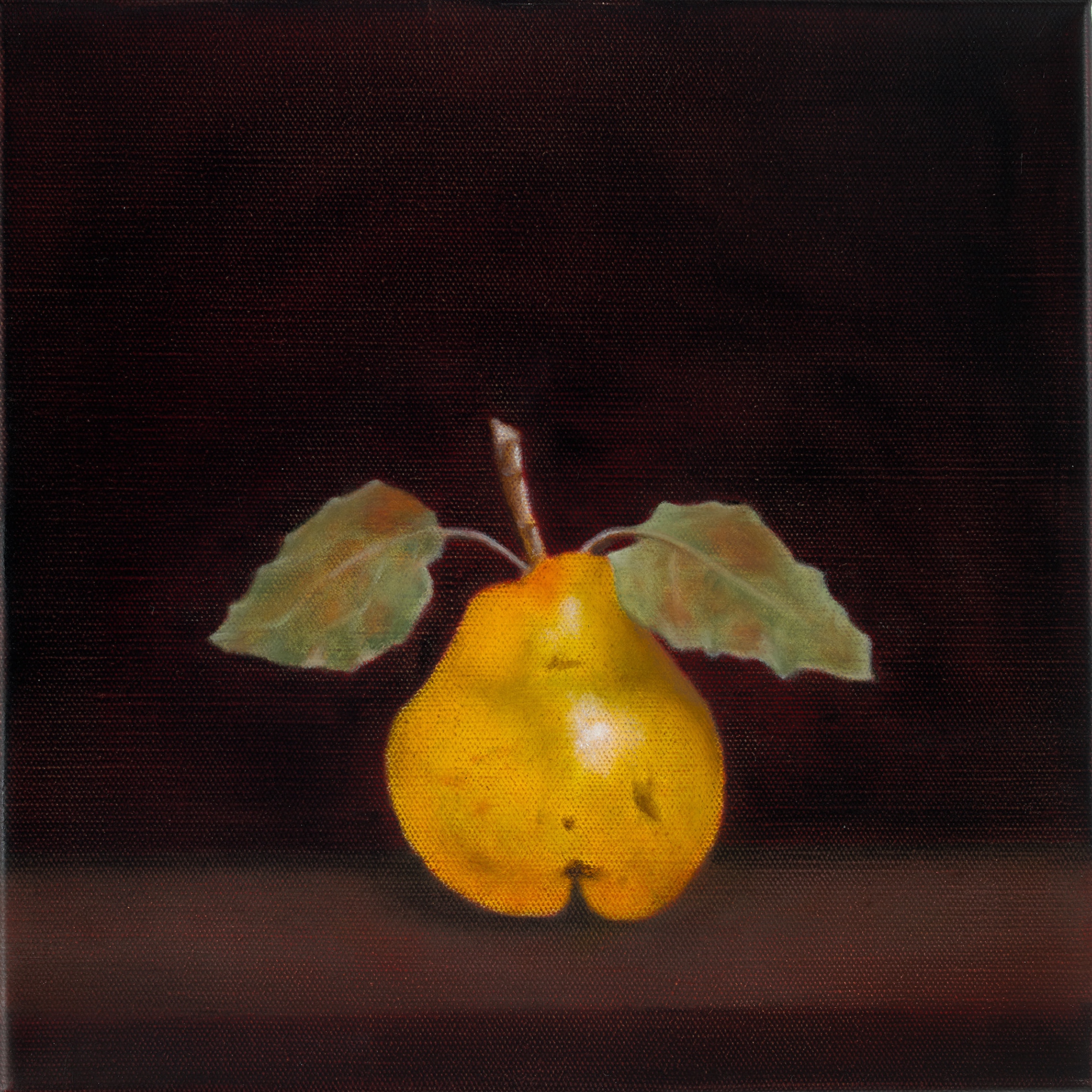 Andrea Jordan/ Quince/ 2023/ Oil on linen/ 30.5 x 30.5cm/ Full Gamut photography