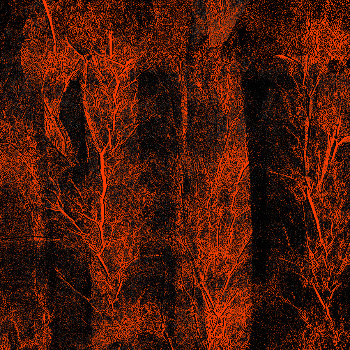 Anna Brooks/Burnt Trees 2 (detail)/2021/Digitally manipulated monotype/116 x 68cm