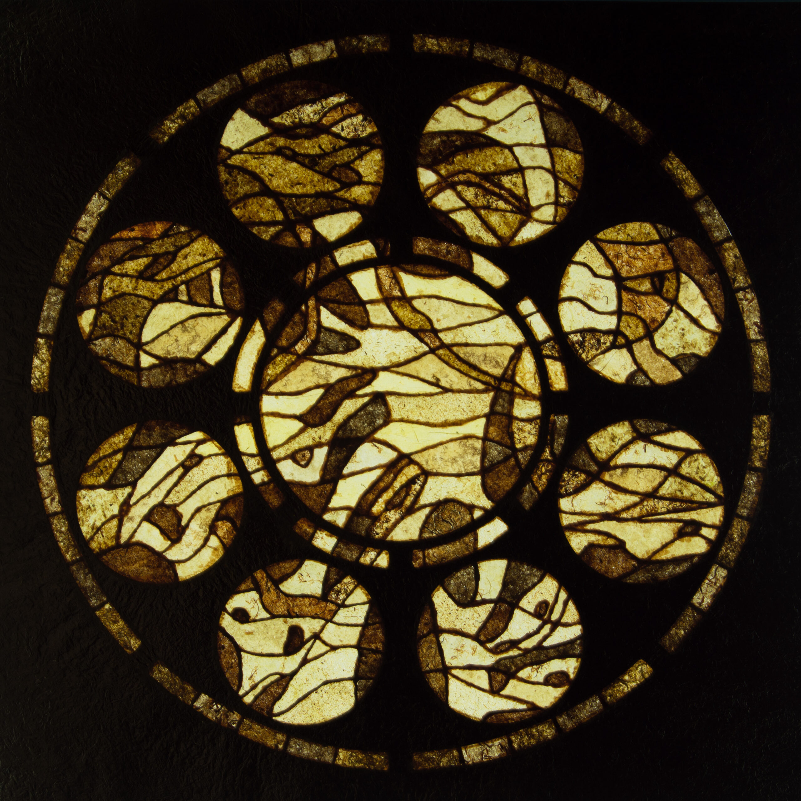 Catherine Stringer/Kelp Dance/2023/marine macroalgae paper/90x90cm