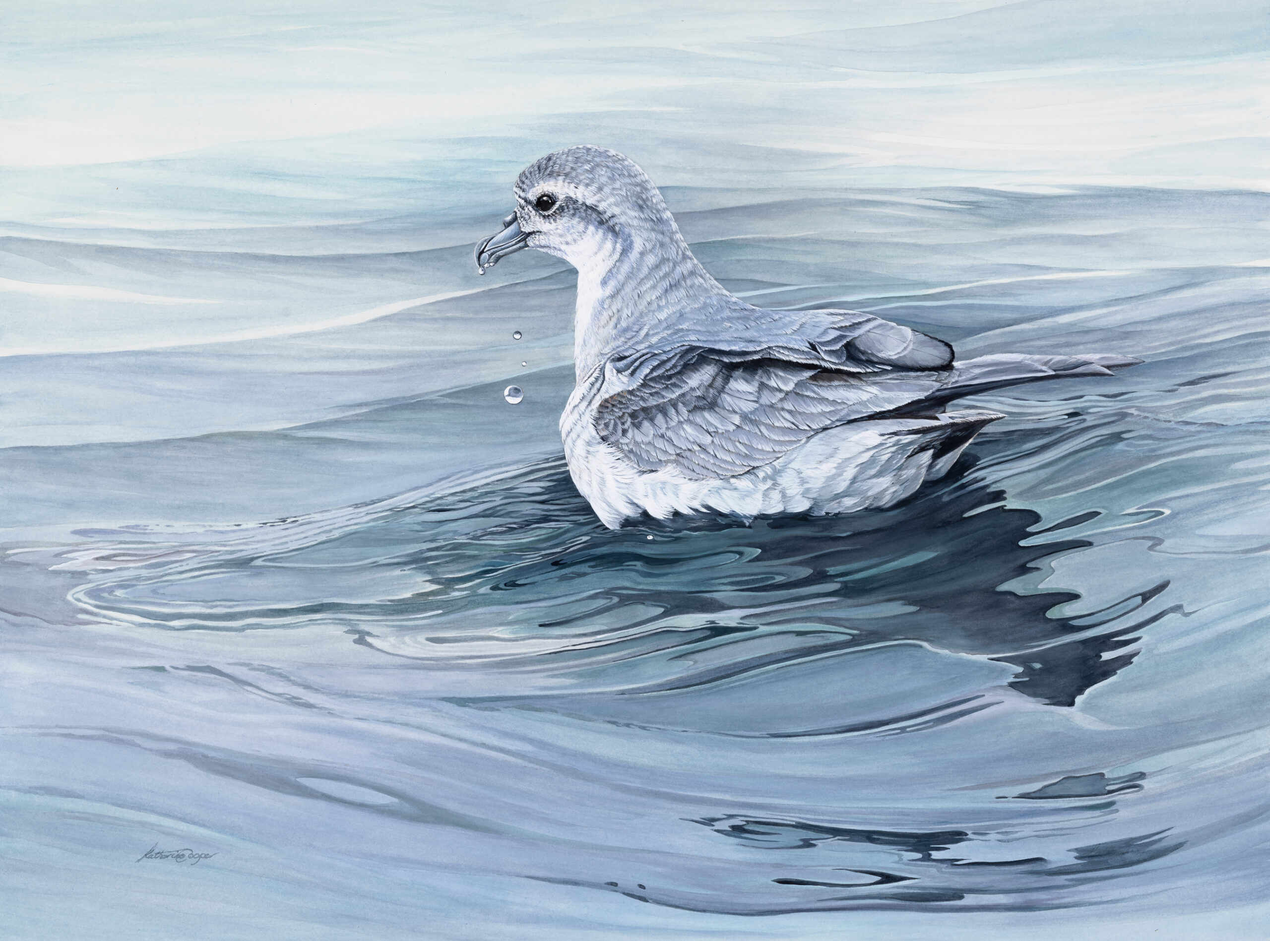 Katherine Cooper 'Ocean Dancer V' 2023.  Watercolour and gouache on 640 gsm hot press rag paper.  60 cms x 80 cms.  Image:Julien Scheffer)