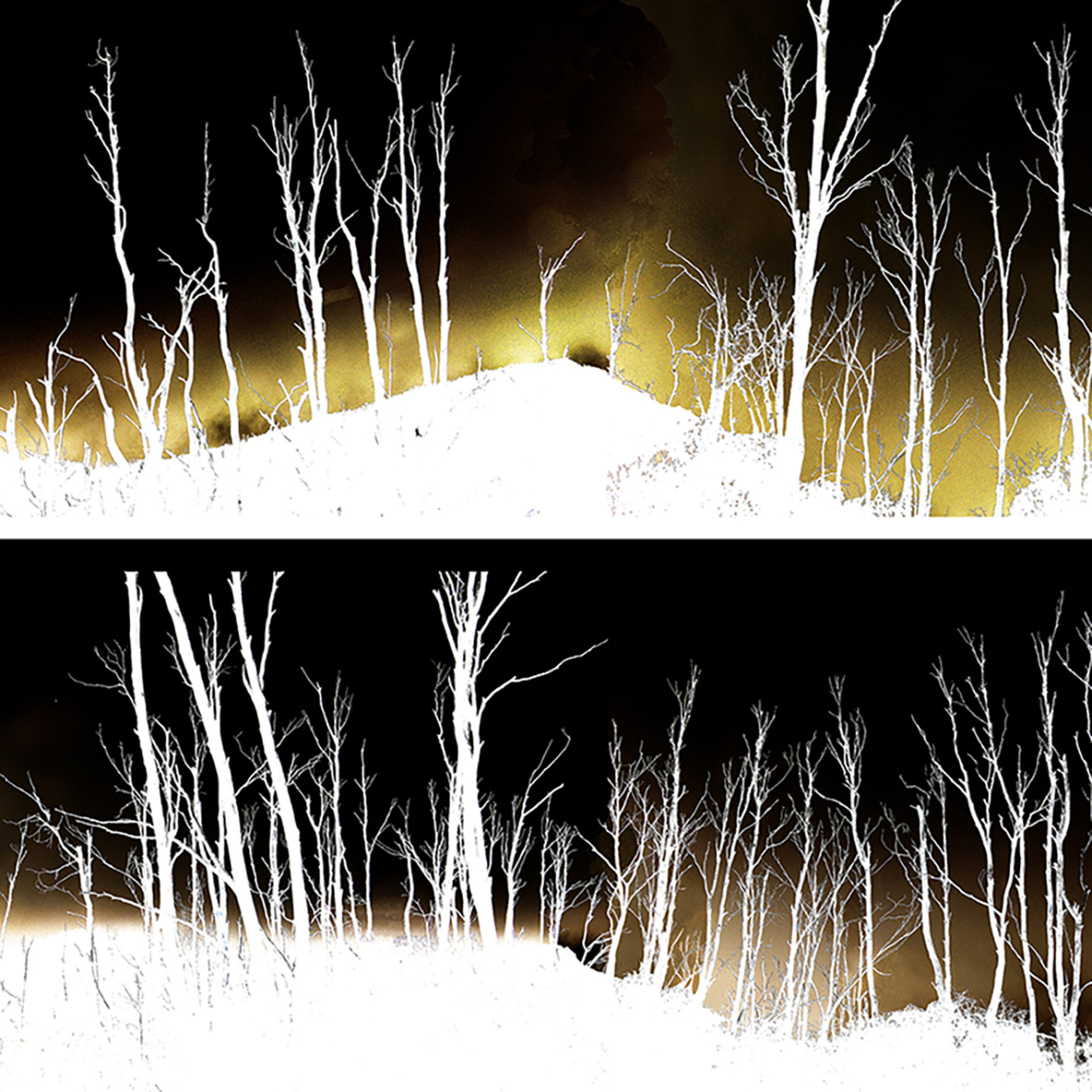 Anna Brooks. After the Fire. Digital ink-jet print. 430 x 920mm. 