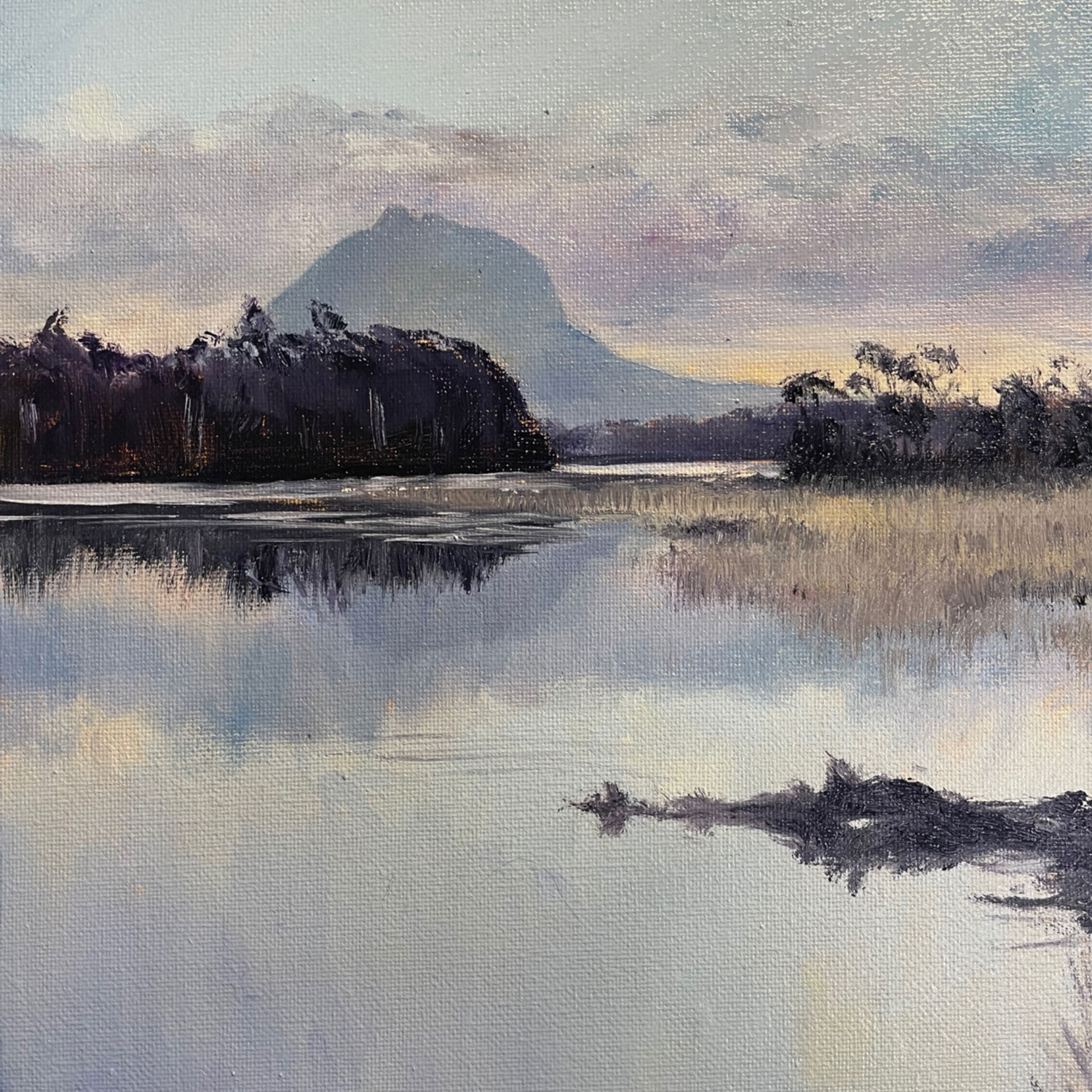 Mel Hills Wild Art. Pelion west from lake Ayr. Tasmania. Oil on canvas. 300mm x 300mm