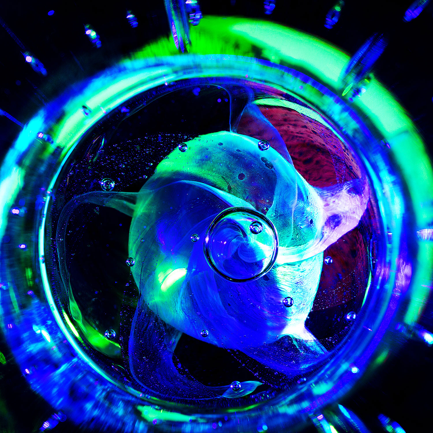 Rachael Windress. The Grand Cosmic Dance Of Time. Photograph. 20 x 30 inch