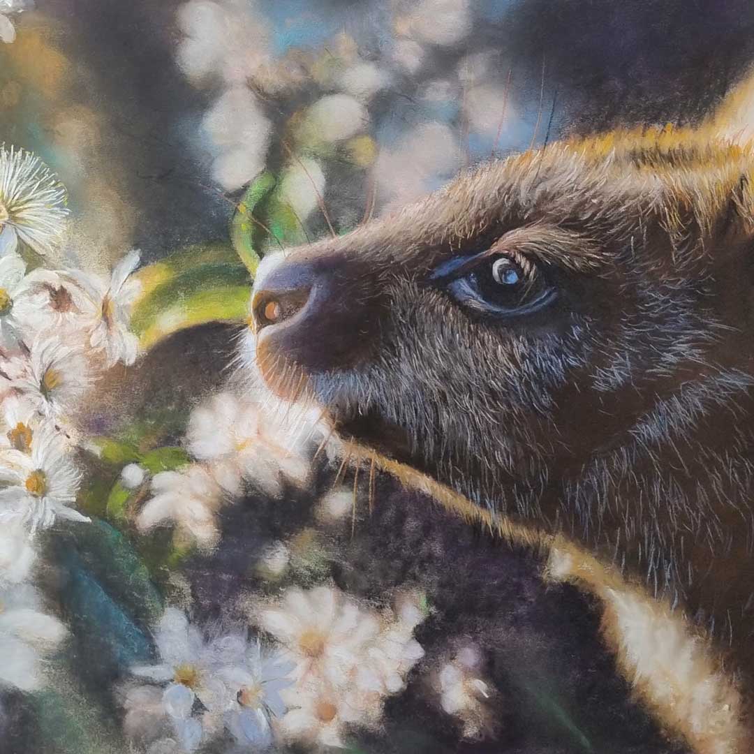 Quoll Artists’ Gallery