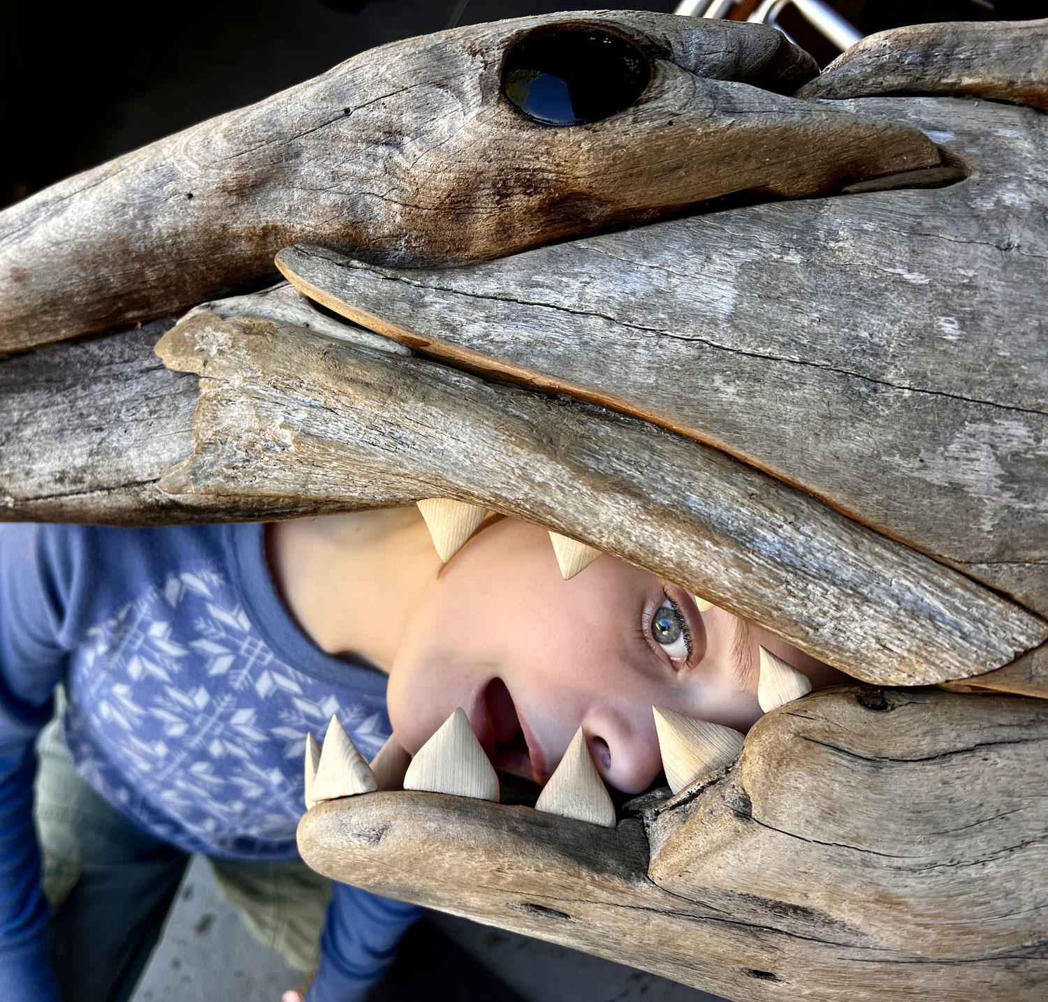 Nick Gust. Food Web. Driftwood, 3.2m.