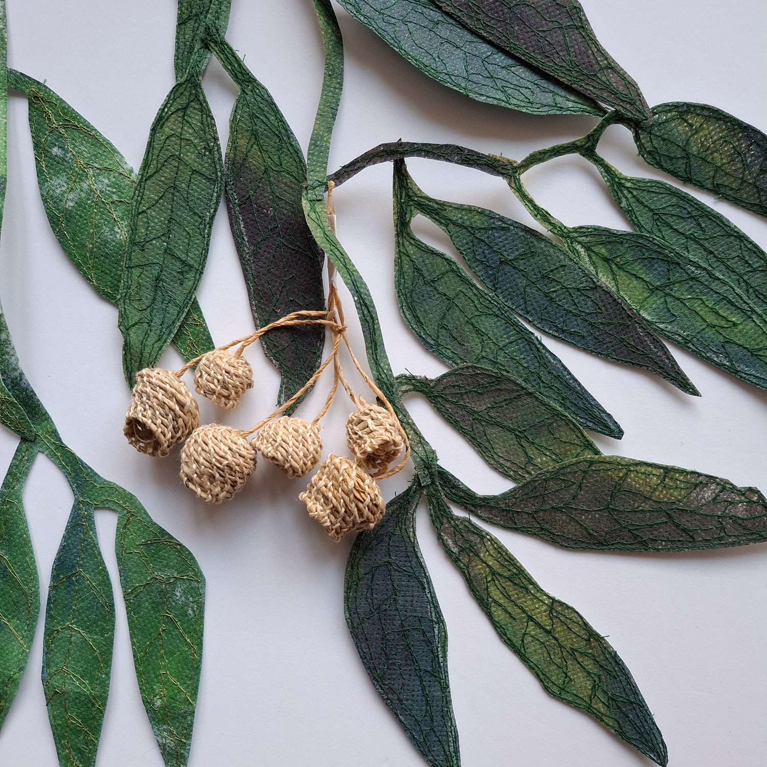 Tasmanian Flora